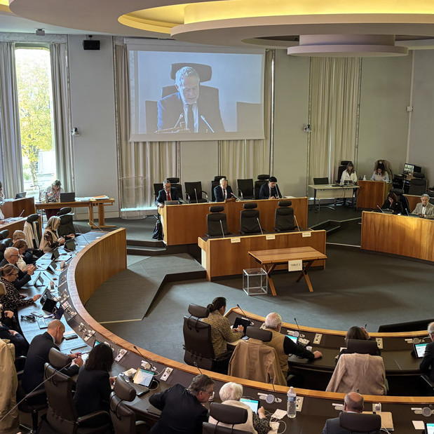 L'organisation de la collectivité