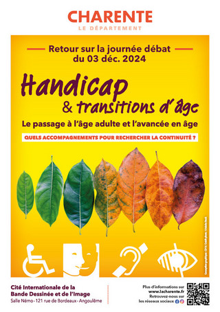 Livret_A5_handicap_transition_age_vignettes_v2_Page_01.jpg